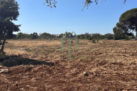 Ruinere i Carovigno, Brindisi, Carovigno - € 385.000 | Ref: Proprietà Pinea - foto 11